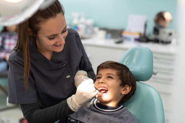 Best Emergency Dental Services for Seniors in Fraser, MI