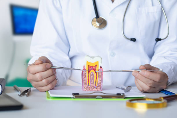 Best Emergency Root Canal Treatment in Fraser, MI